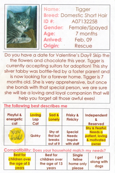 Bidawee Adoption for Pandora